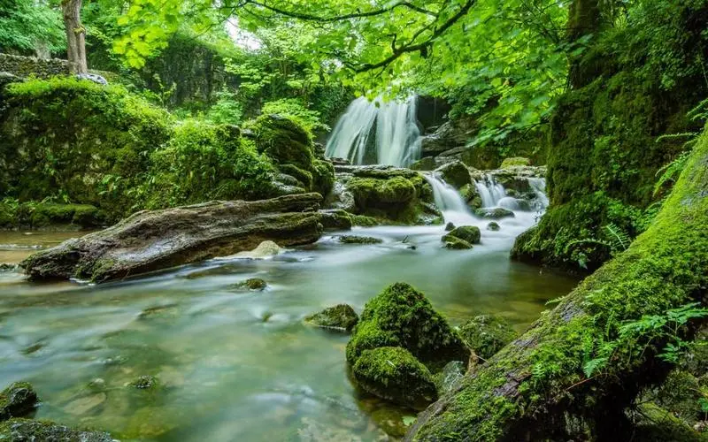 高端高效